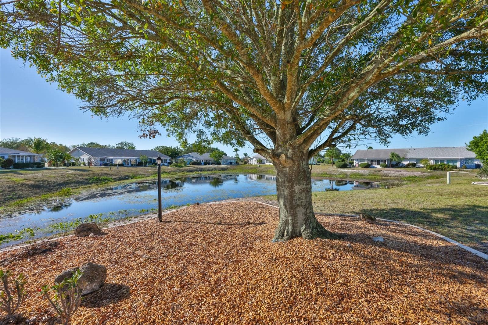 325 GREEN MANOR DRIVE, Sun City Center, FL 33573 Gorgeous shade tree for your private sitting space!