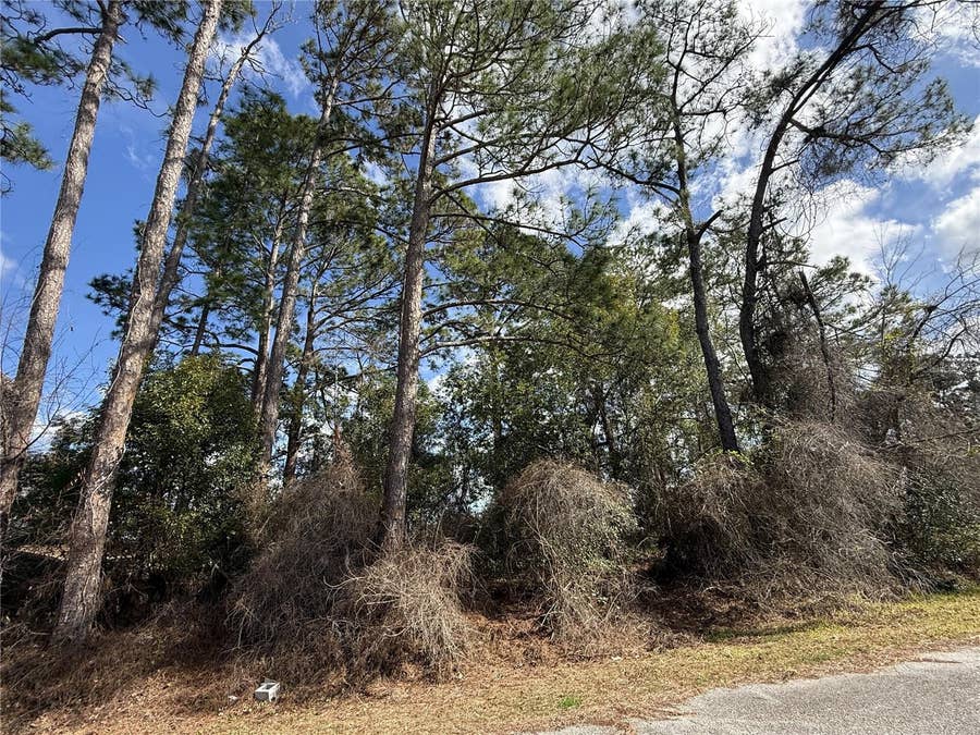 Property photo for TBD SE 190TH AVENUE, Silver Springs, FL