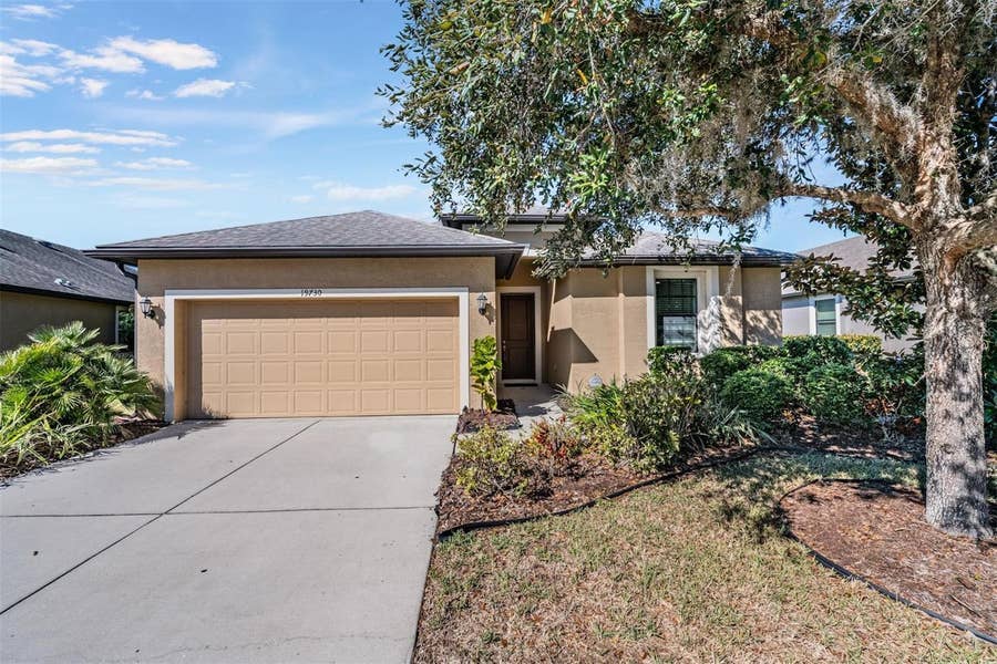 Property photo for Land O Lakes, FL