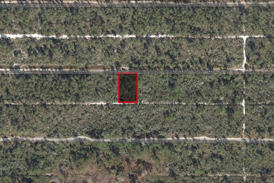 Property photo for 533 PARROT AVENUE, Sebring, FL