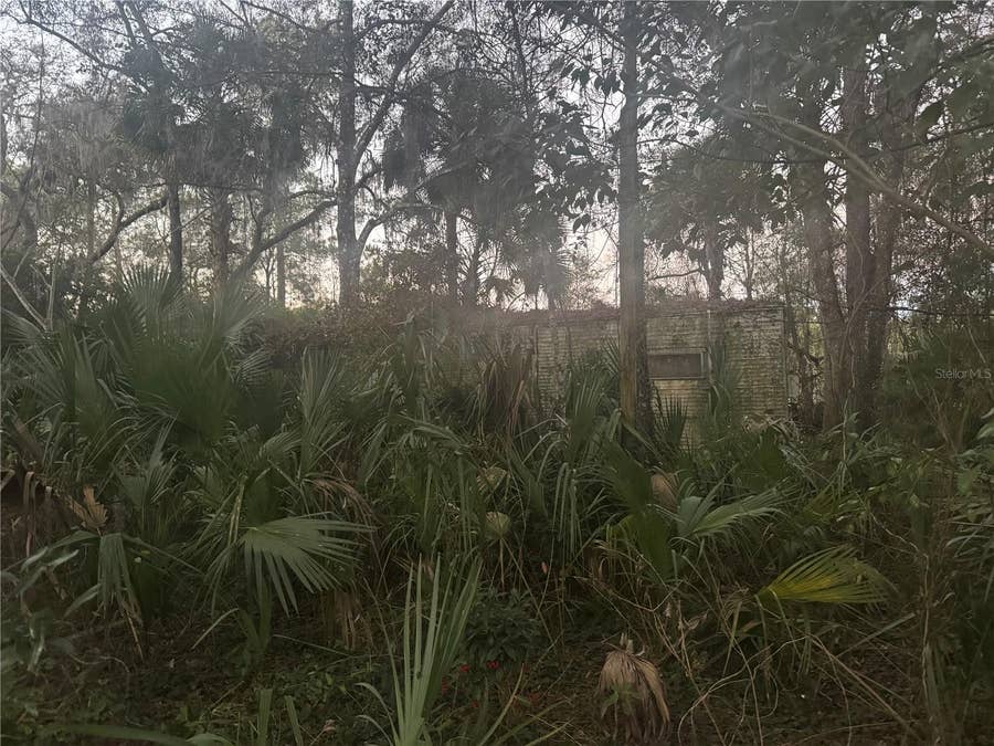 Property photo for 5600 NE 165TH TERRACE ROAD, Silver Springs, FL