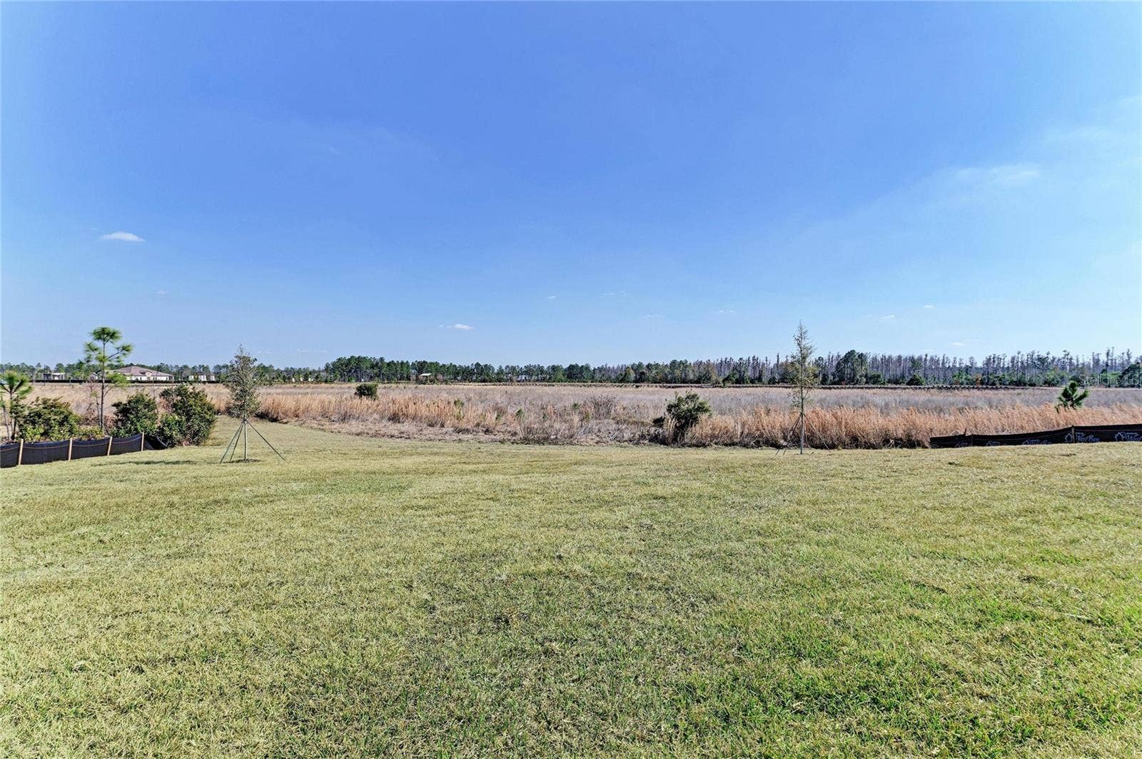 2058 ARCHING BRANCH DRIVE, Zephyrhills, FL 33541 2058 ARCHING BRANCH DRIVE, Zephyrhills, FL 33541