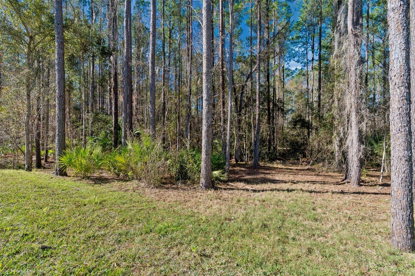 4905 MAJESTIC HILLS LOOP, Brooksville, FL 34601 4905 MAJESTIC HILLS LOOP, Brooksville, FL 34601