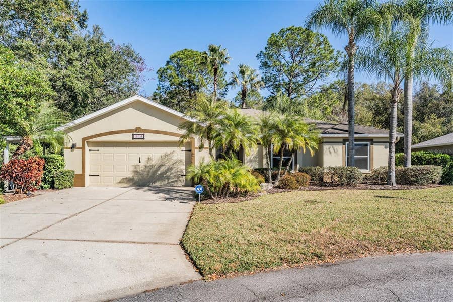 Property photo for 10133 COLLAR DRIVE, San Antonio, FL