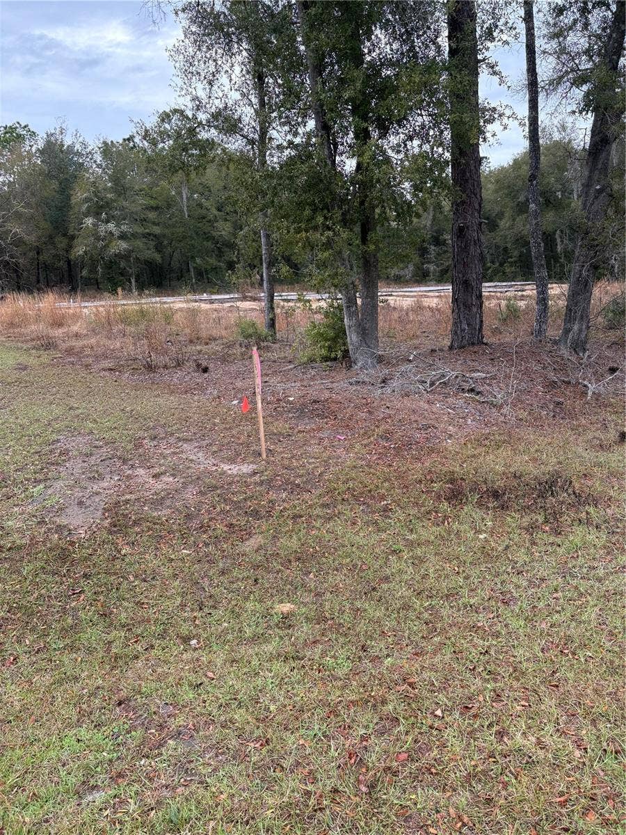 Property photo for SW 202ND CT &SW 63RD PL, Dunnellon, FL