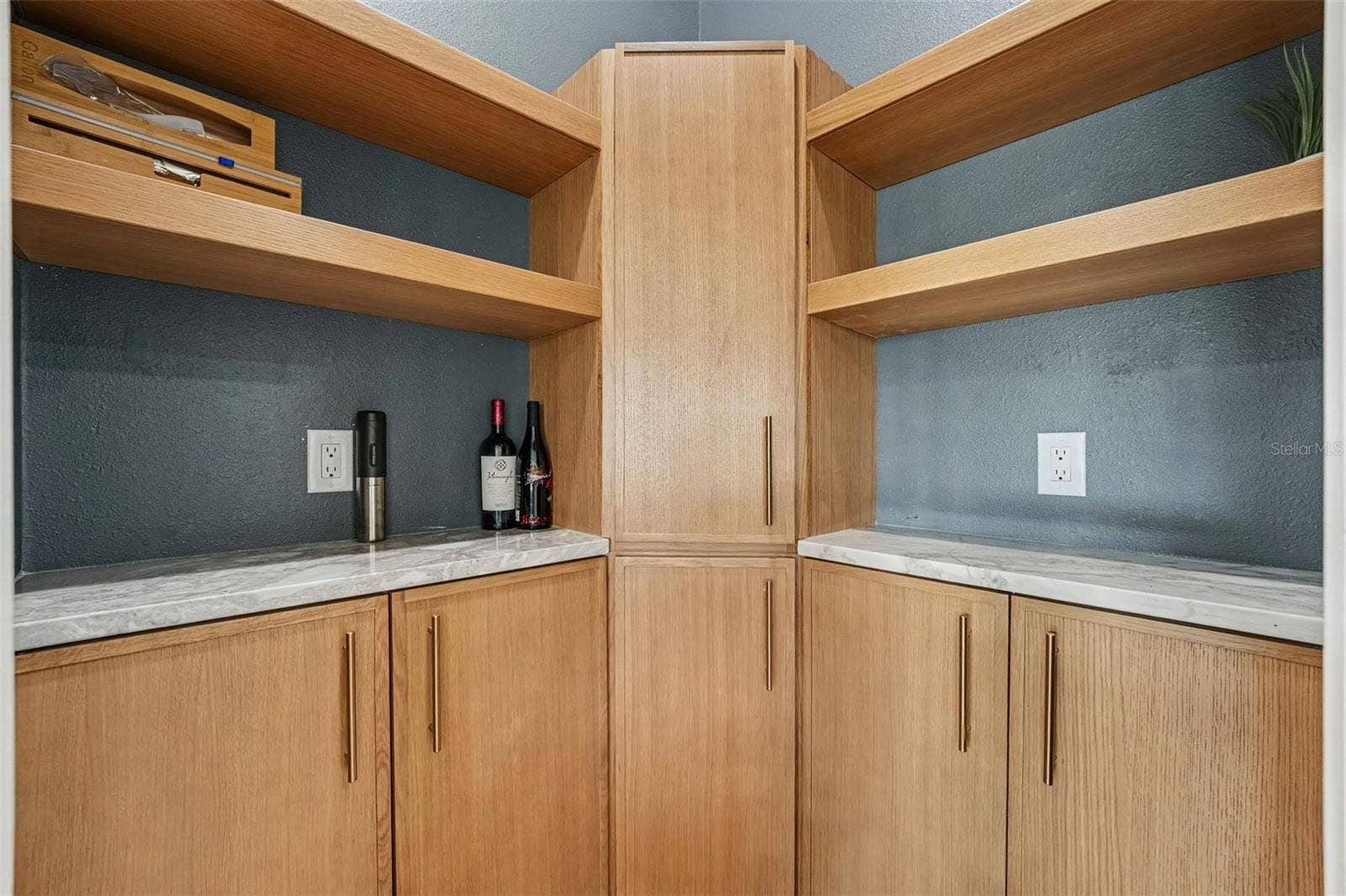 655 WHISPER WOODS DRIVE, Lakeland, FL 33813 Pantry