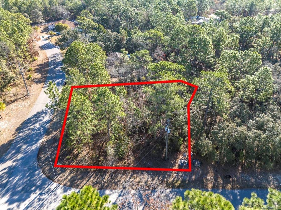 Property photo for 30 BELLS OF IRELAND COURT, Homosassa, FL