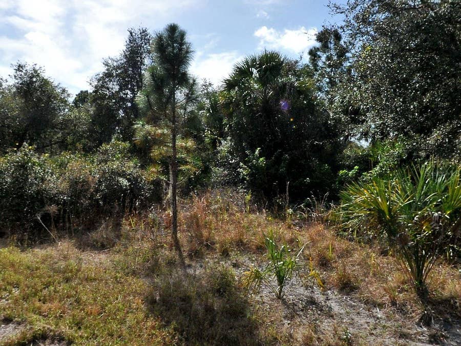 Property photo for GAMES COURT, North Port, FL