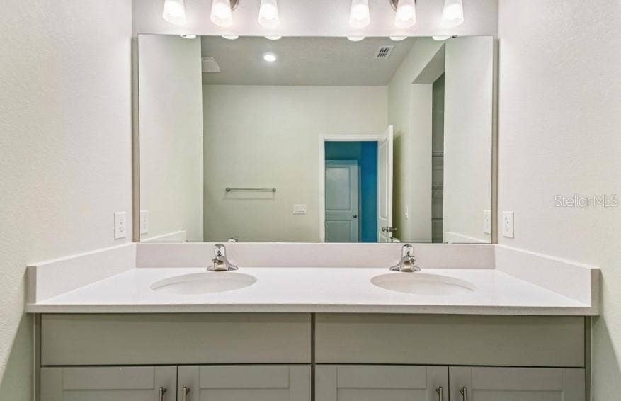 Owner's Bath
