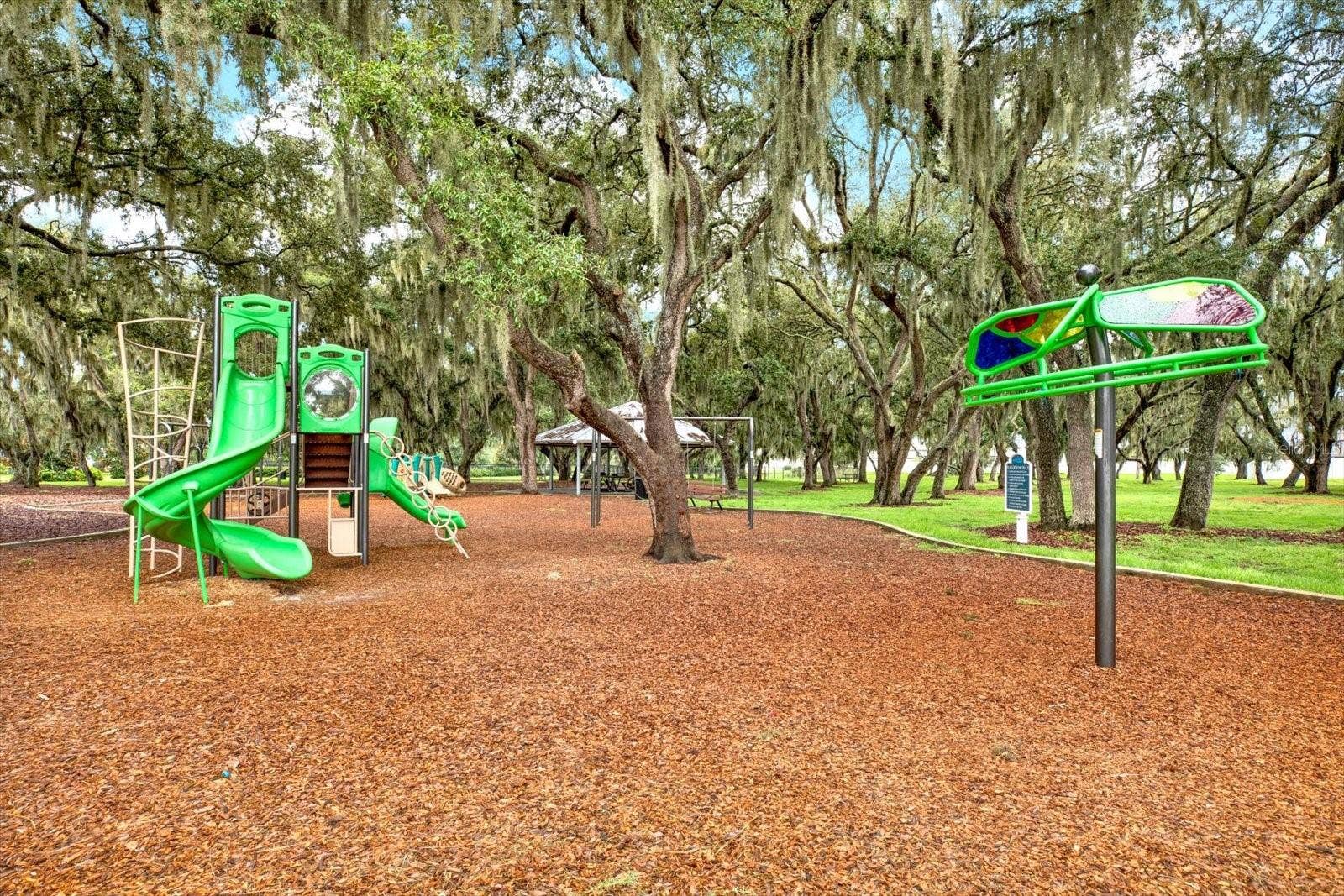 13113 WILDFLOWER MEADOW DRIVE, Riverview, FL 33579 13113 WILDFLOWER MEADOW DRIVE, Riverview, FL 33579
