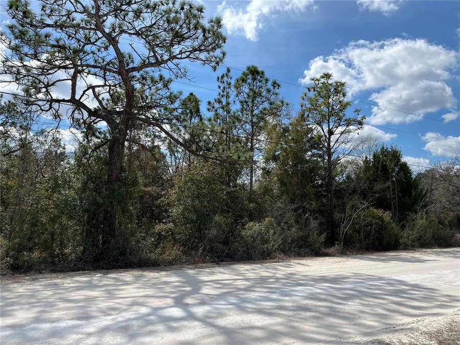 Property photo for 12270 PEACEFUL AVENUE, Weeki Wachee, FL