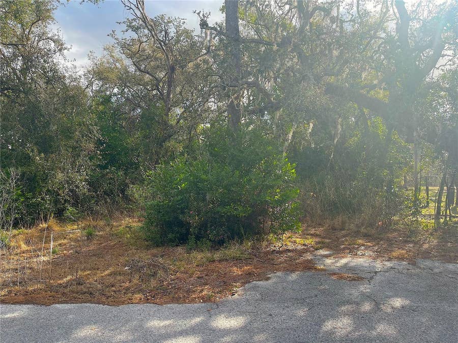 Property photo for 10024 OANA STREET, New Port Richey, FL