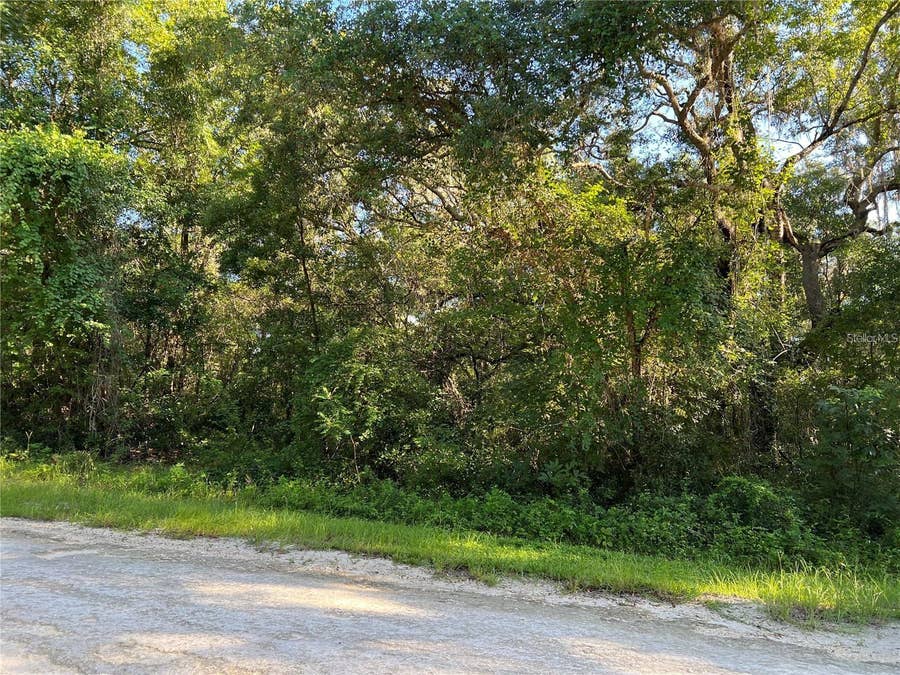 Property photo for 34085 ARROWROCK STREET, Webster, FL