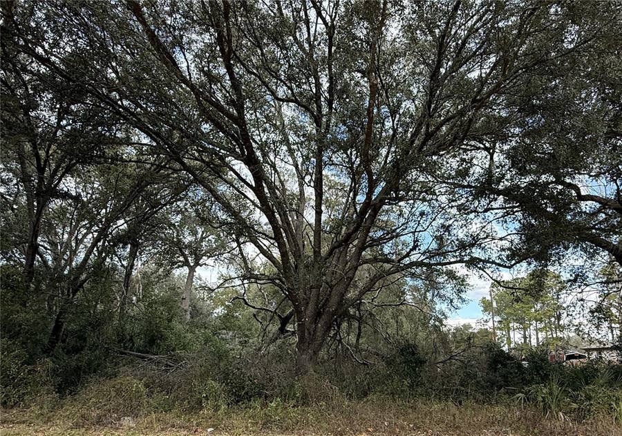 Property photo for 0 HILDA RD, Dade City, FL