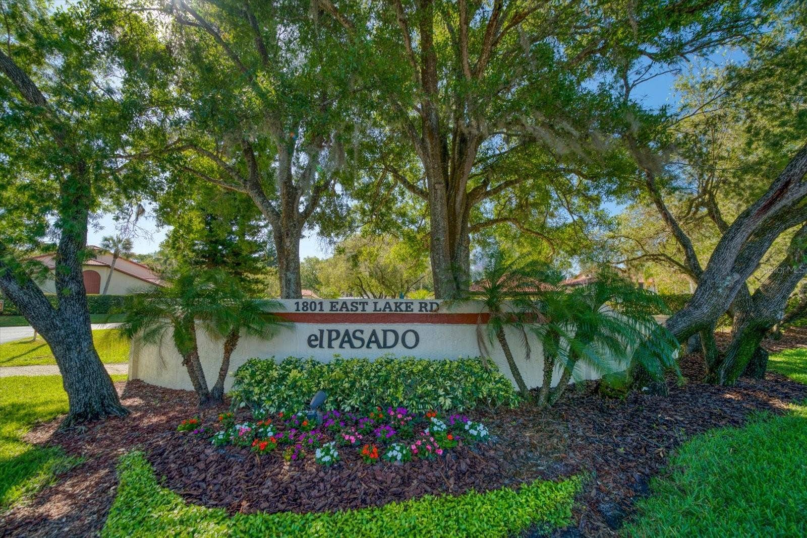 Beautiful El Pasado Entrance