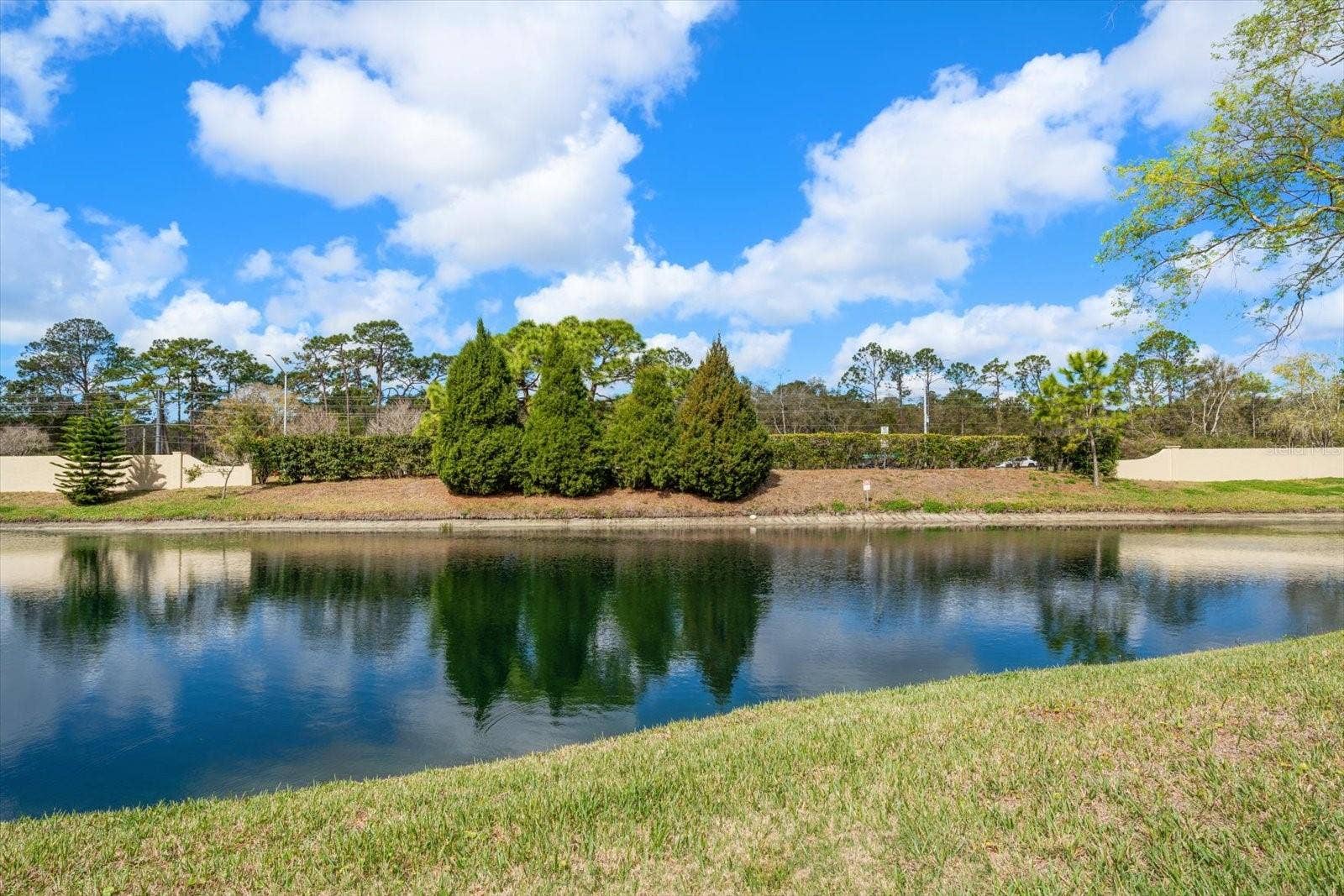 Pond View
