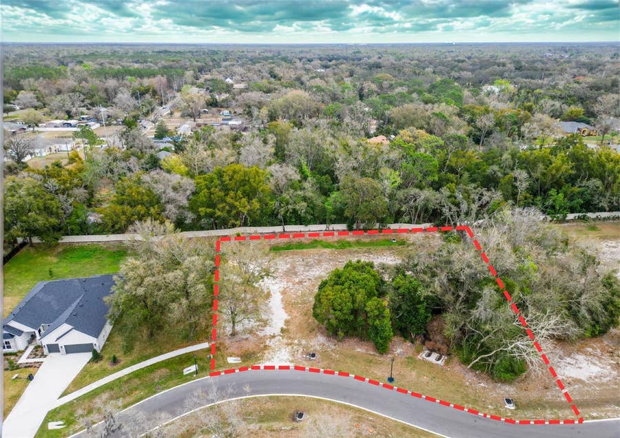 Property photo for 18469 PURPLE CREEK LANE, Lutz, FL