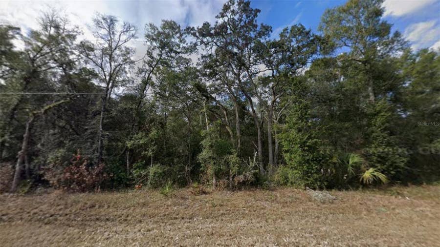 Property photo for NW 85TH AVENUE, Chiefland, FL