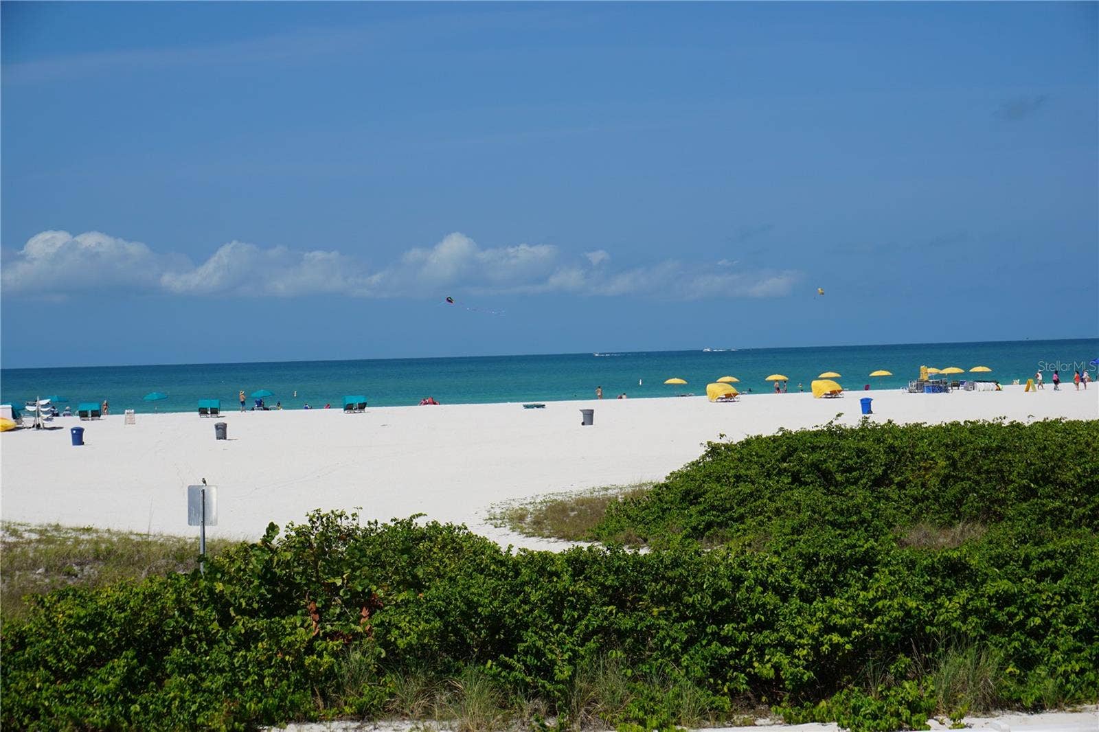 9715 HARRELL AVENUE, #14, Treasure Island, FL 33706 9715 HARRELL AVENUE, #14, Treasure Island, FL 33706