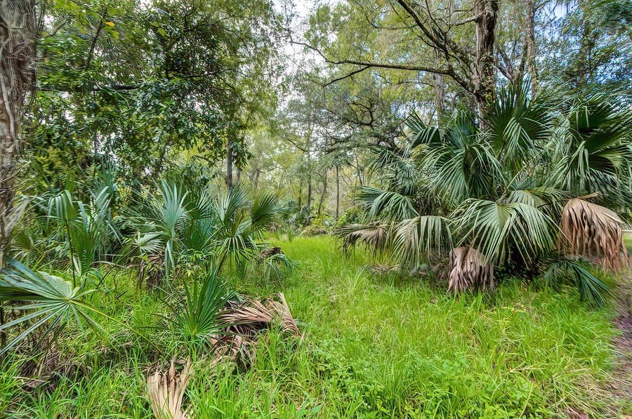 Property photo for 14902 DEAD RIVER ROAD, Thonotosassa, FL