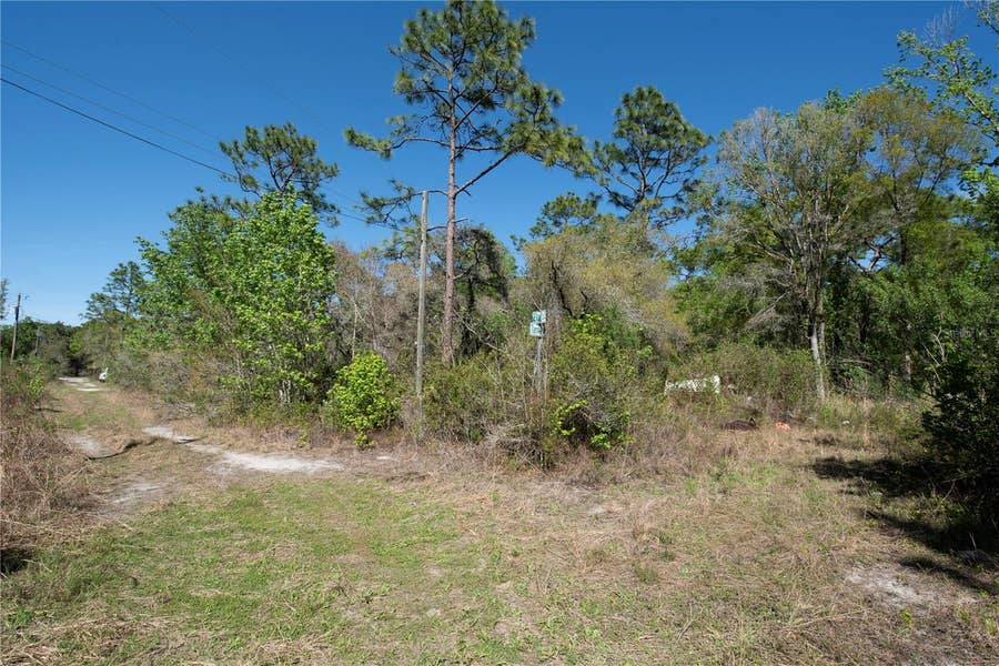 Property photo for 12934 TANNER ROAD, New Port Richey, FL
