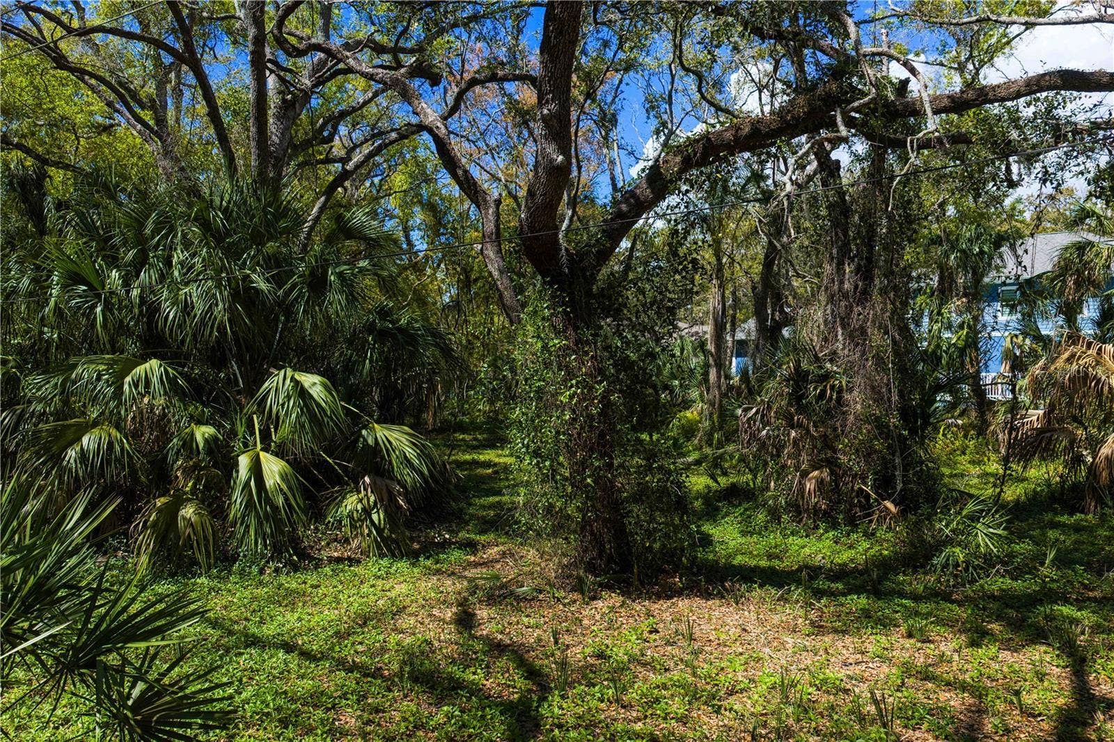 8004 BAY DRIVE, Tampa, FL 33635