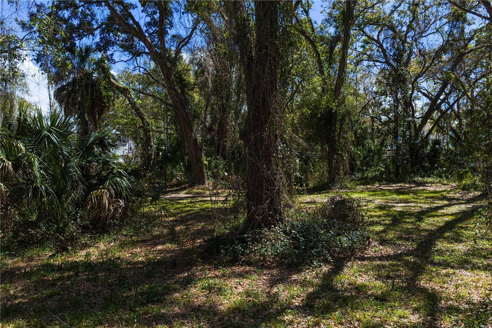 8004 BAY DRIVE, Tampa, FL 33635