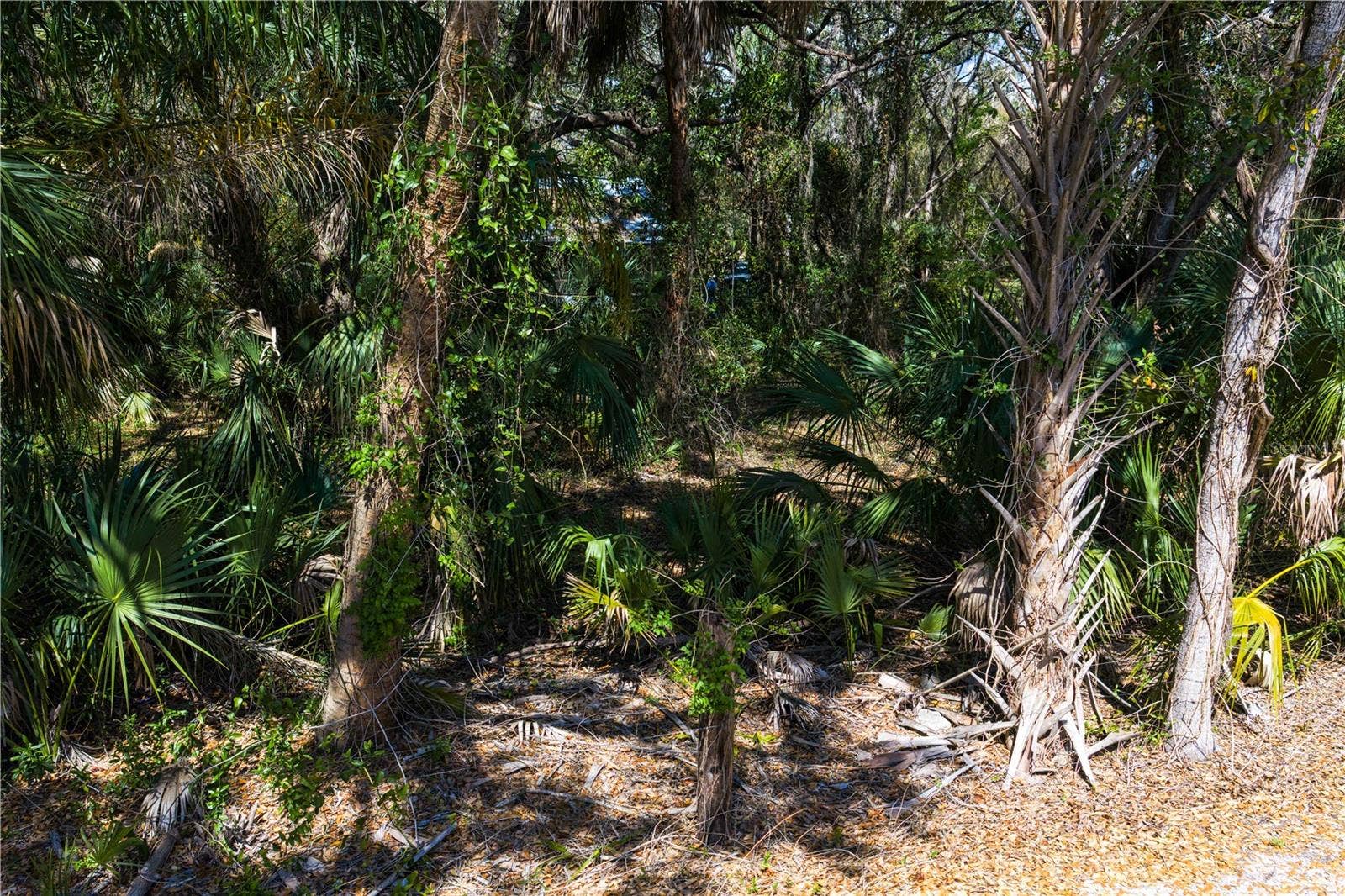 8004 BAY DRIVE, Tampa, FL 33635