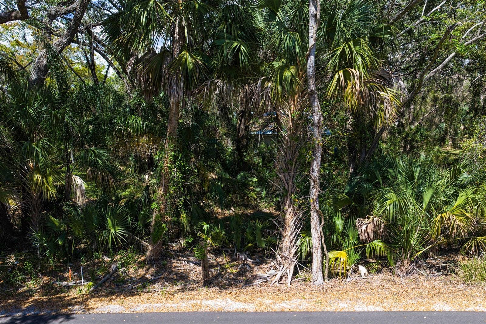 8004 BAY DRIVE, Tampa, FL 33635