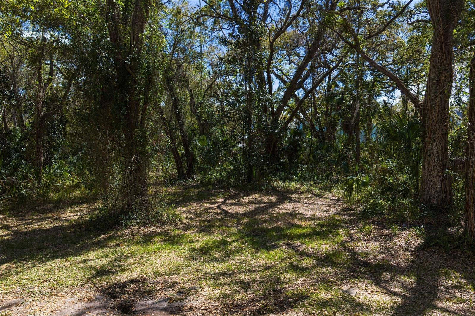8004 BAY DRIVE, Tampa, FL 33635