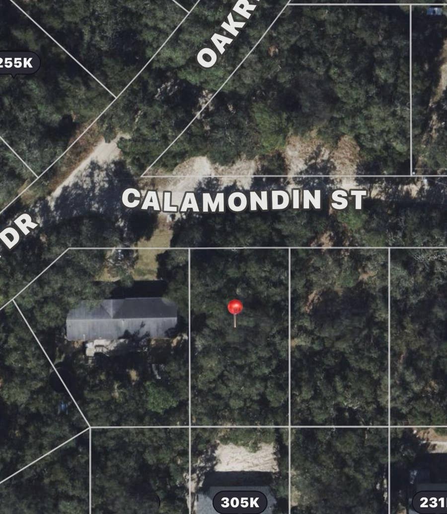 Property photo for CALAMONDIN ST, Lady Lake, FL