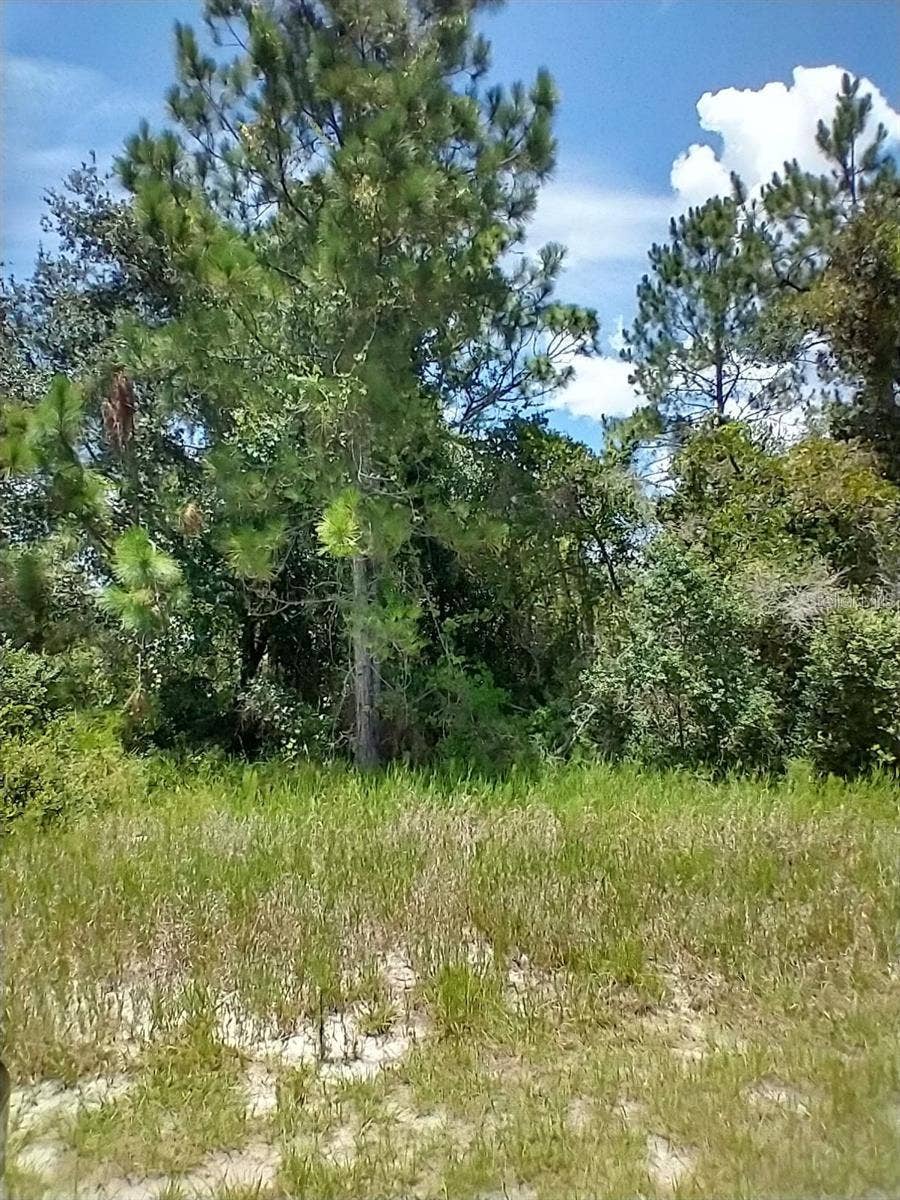 Property photo for 1322 TALLAHASSEE COURT, Kissimmee, FL
