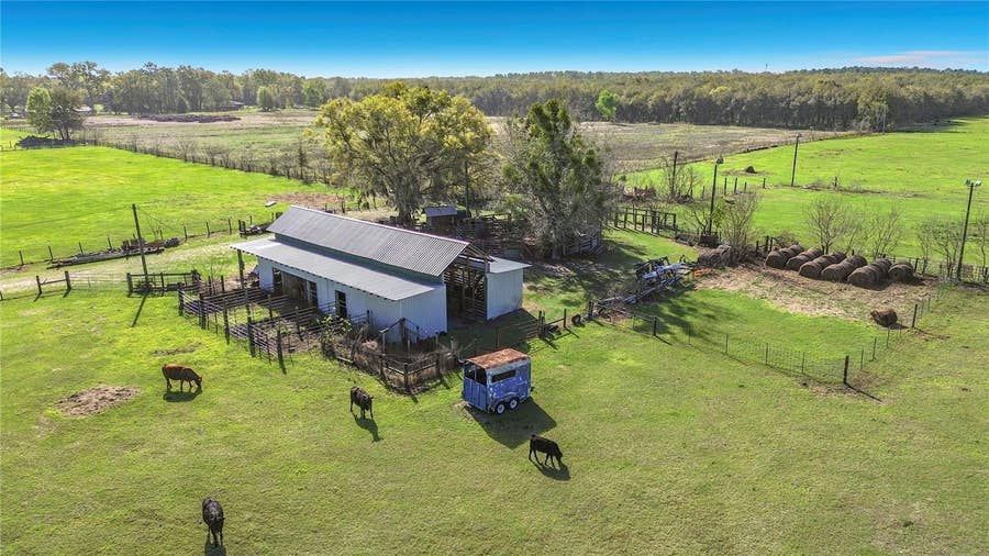 Property photo for 855 NE 107TH ROAD, Oxford, FL