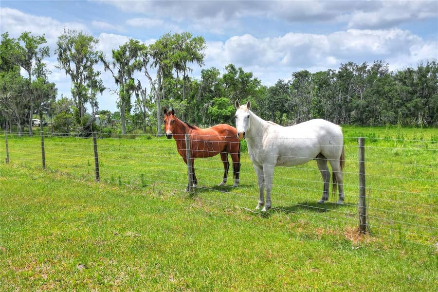 Property photo for 0 S CR 39, Lithia, FL