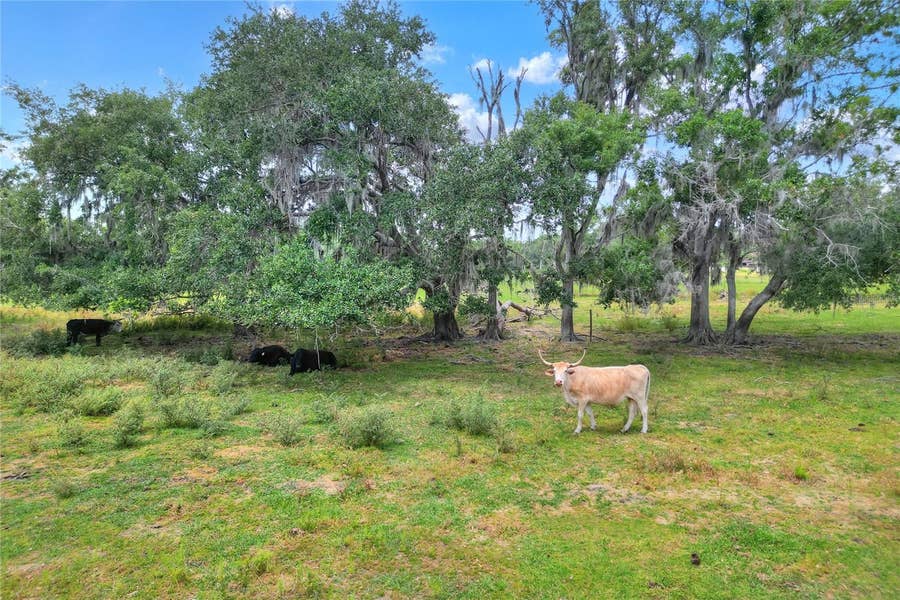 Property photo for 0 S CR 39, Lithia, FL