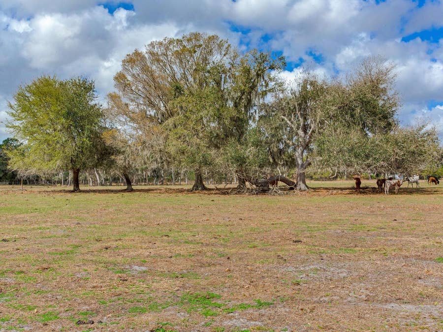 Property photo for 0 S CR 39, Lithia, FL