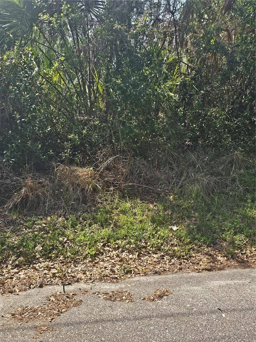 Property photo for TBD UNASSIGNED, Lake City, FL