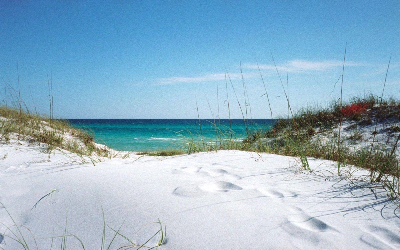10355 PARADISE BOULEVARD, #608, Treasure Island, FL 33706 10355 PARADISE BOULEVARD, #608, Treasure Island, FL 33706