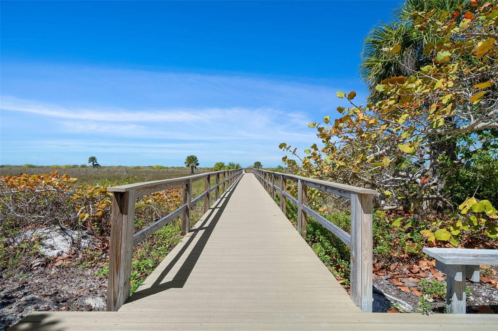 1230 GULF BOULEVARD, #303, Clearwater Beach, FL 33767 Get your step counts in on the way to the beach!