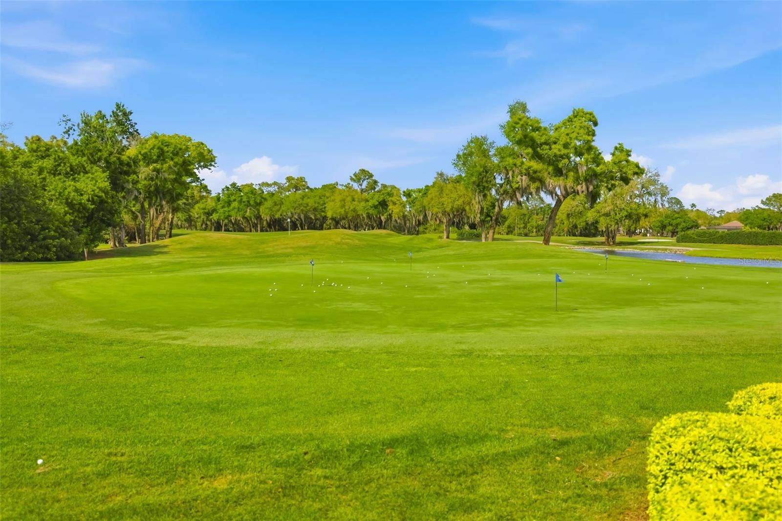 10107 CARNOUSTIE PLACE, Bradenton, FL 34211 Championship Golf Course