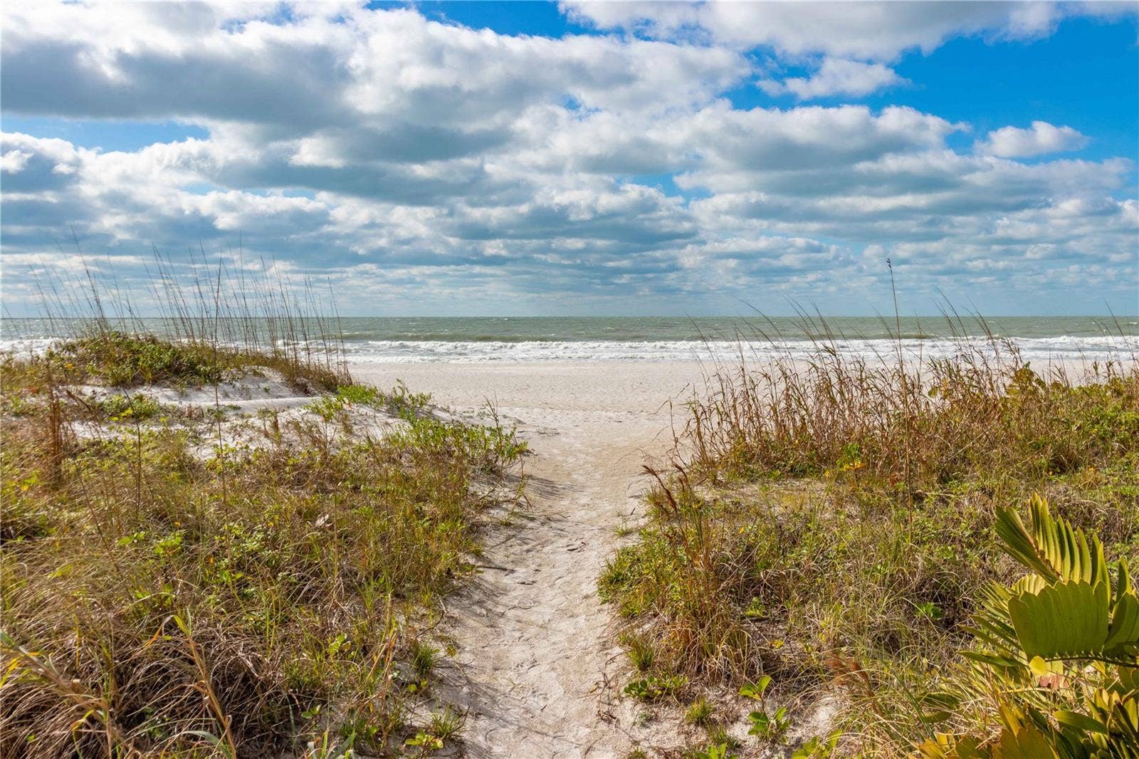 1560 GULF BOULEVARD, #1607, Clearwater, FL 33767 1560 GULF BOULEVARD, #1607, Clearwater, FL 33767