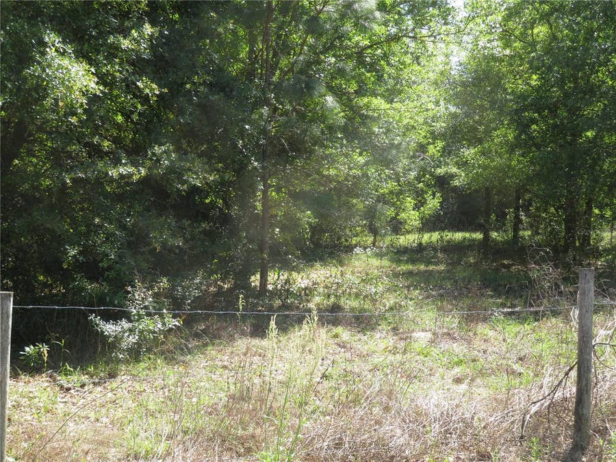 Property photo for San Antonio, FL