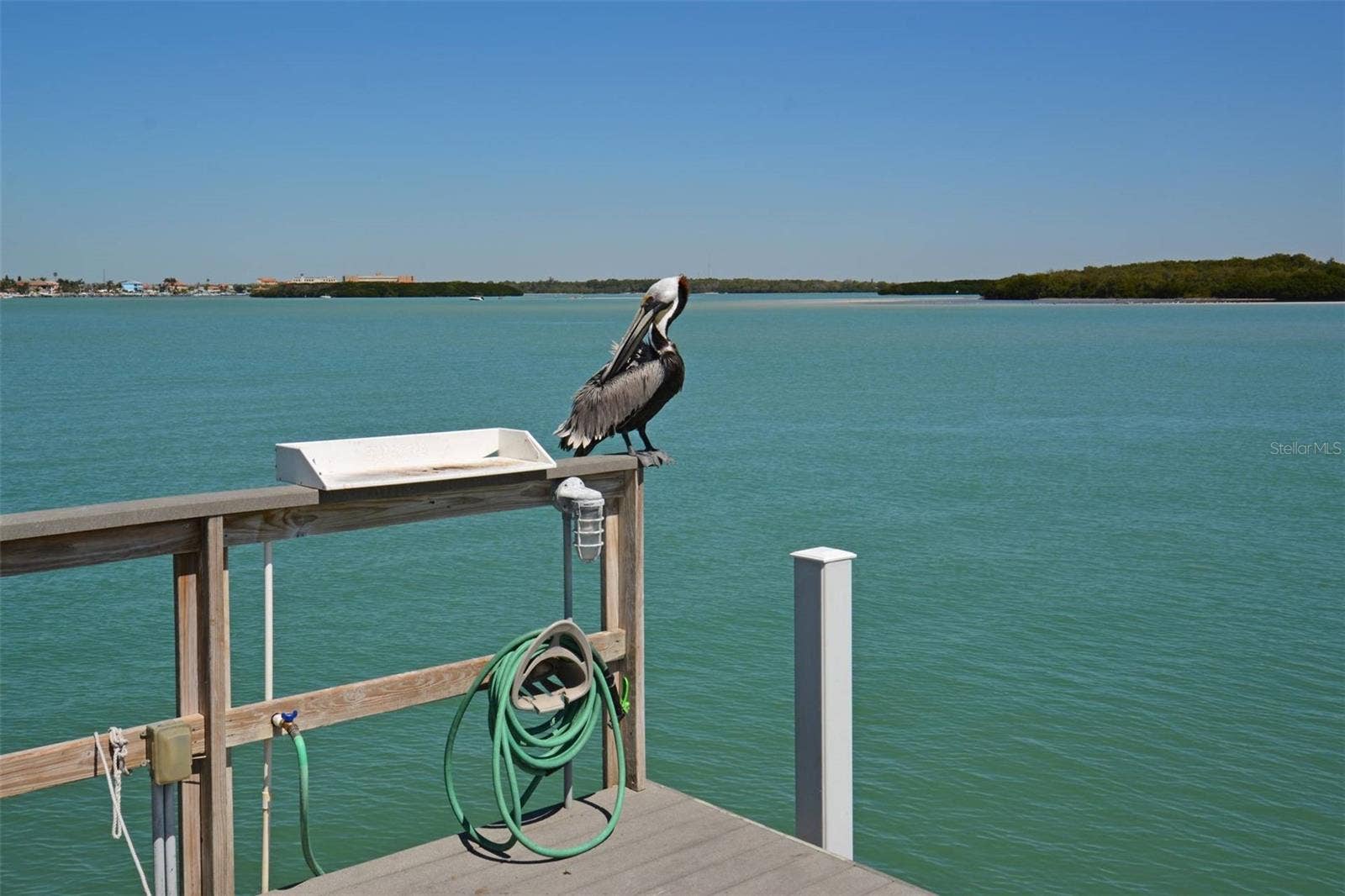 1 KEY CAPRI, #102E, Treasure Island, FL 33706 1 KEY CAPRI, #102E, Treasure Island, FL 33706