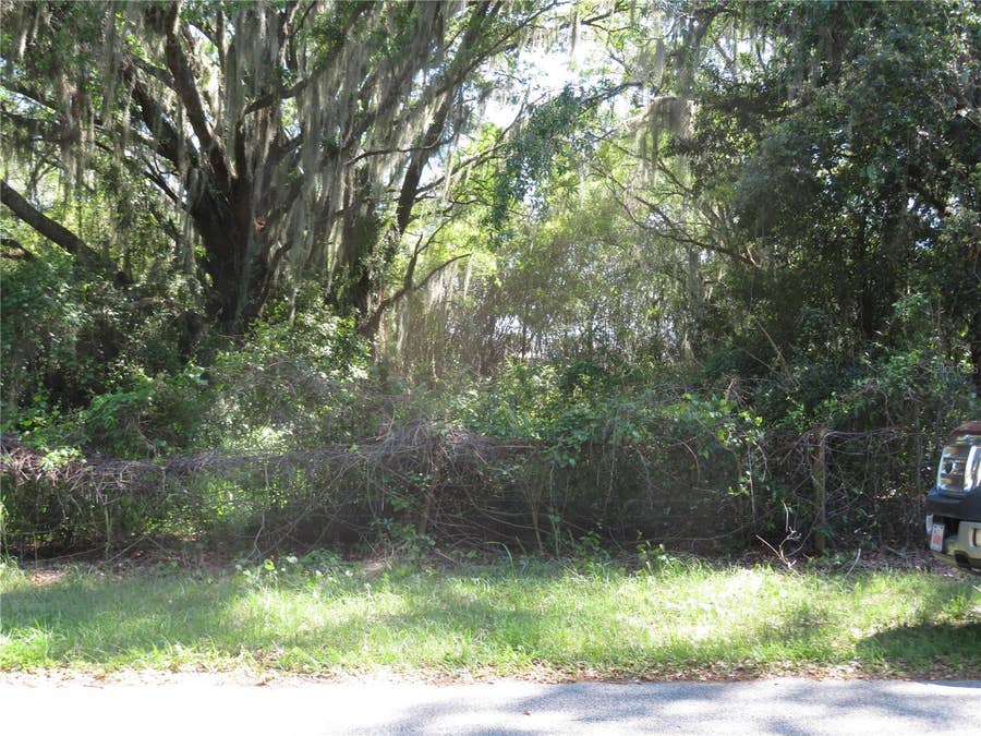 Property photo for San Antonio, FL
