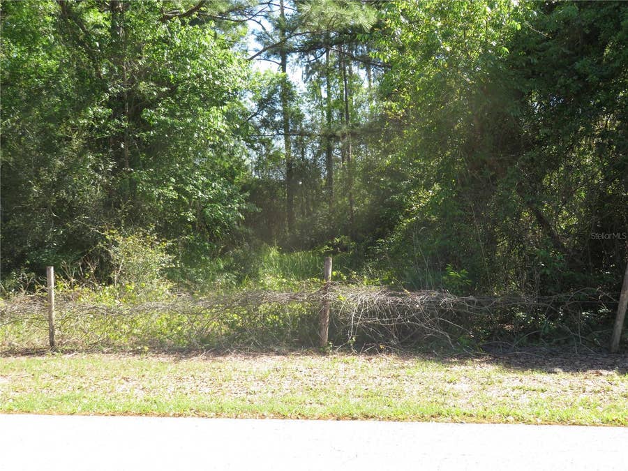 Property photo for San Antonio, FL