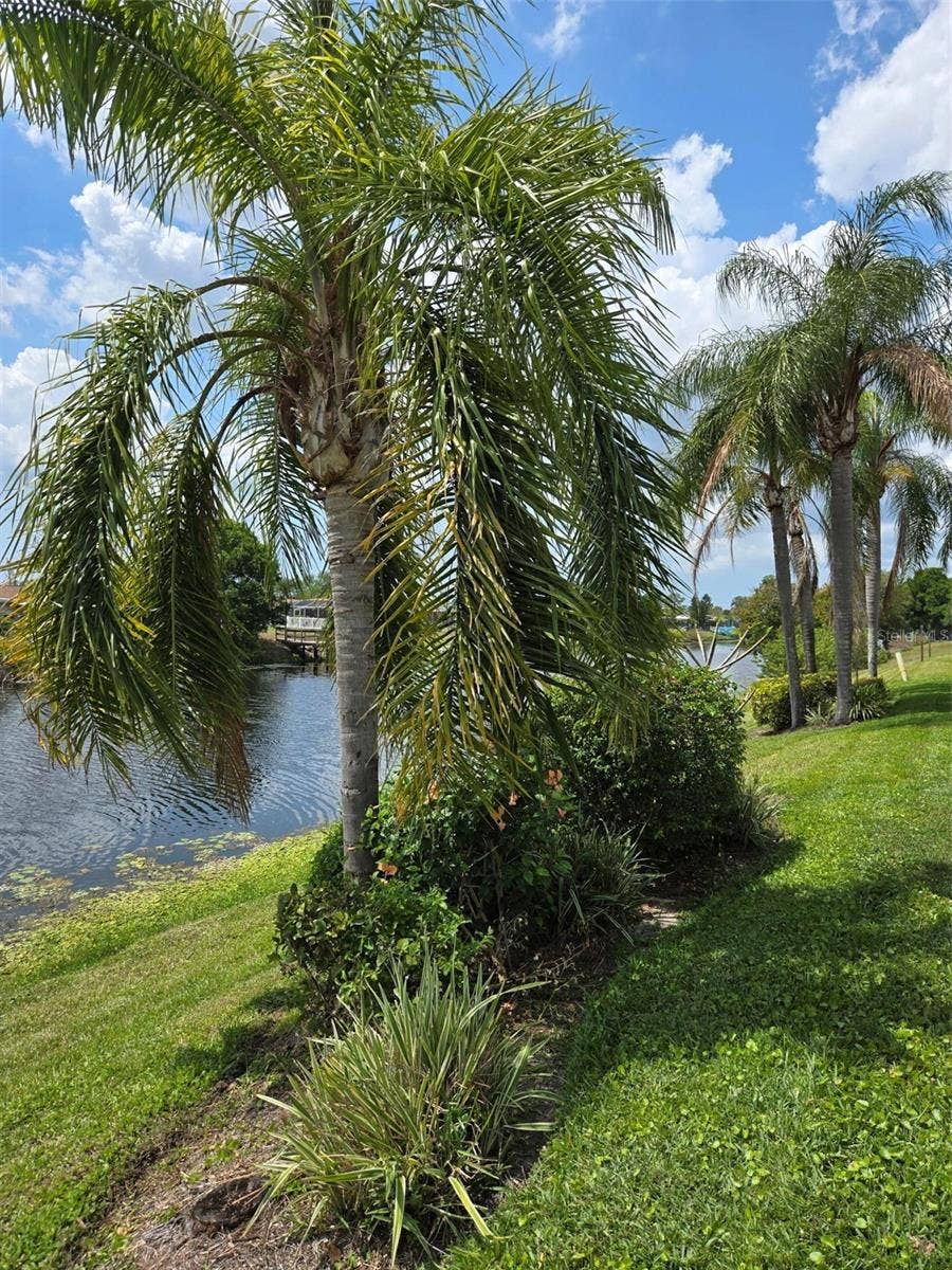 5725 GREENWOOD AVENUE, #5201, North Port, FL 34287 5725 GREENWOOD AVENUE, #5201, North Port, FL 34287