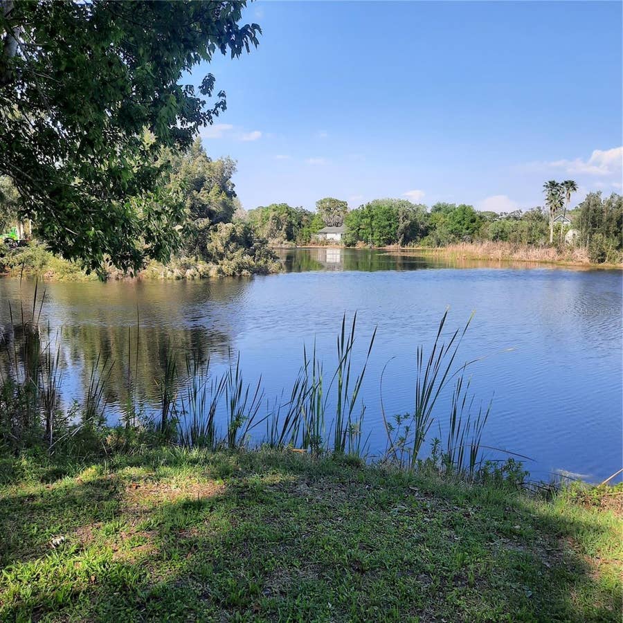 Property photo for 10502 HINDS PLACE, Odessa, FL