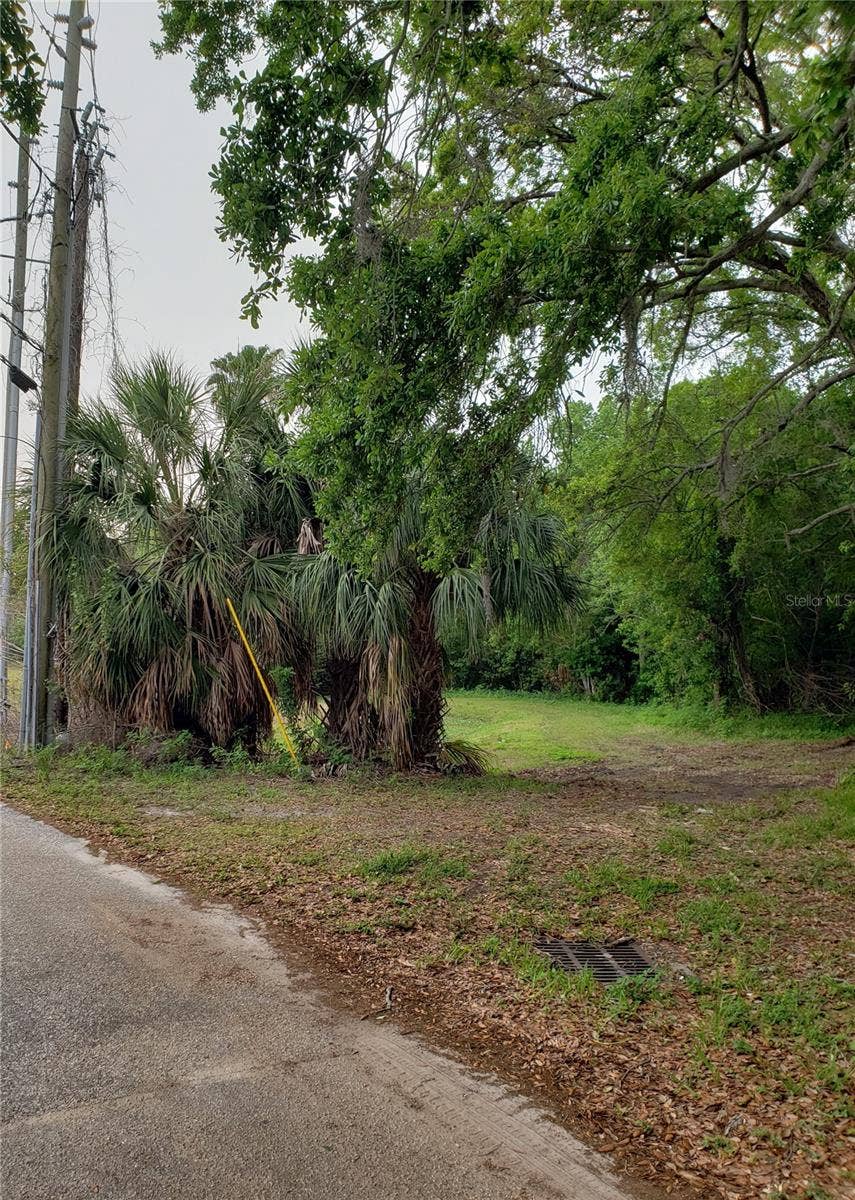 Property photo for GROSSE AVENUE, Tarpon Springs, FL