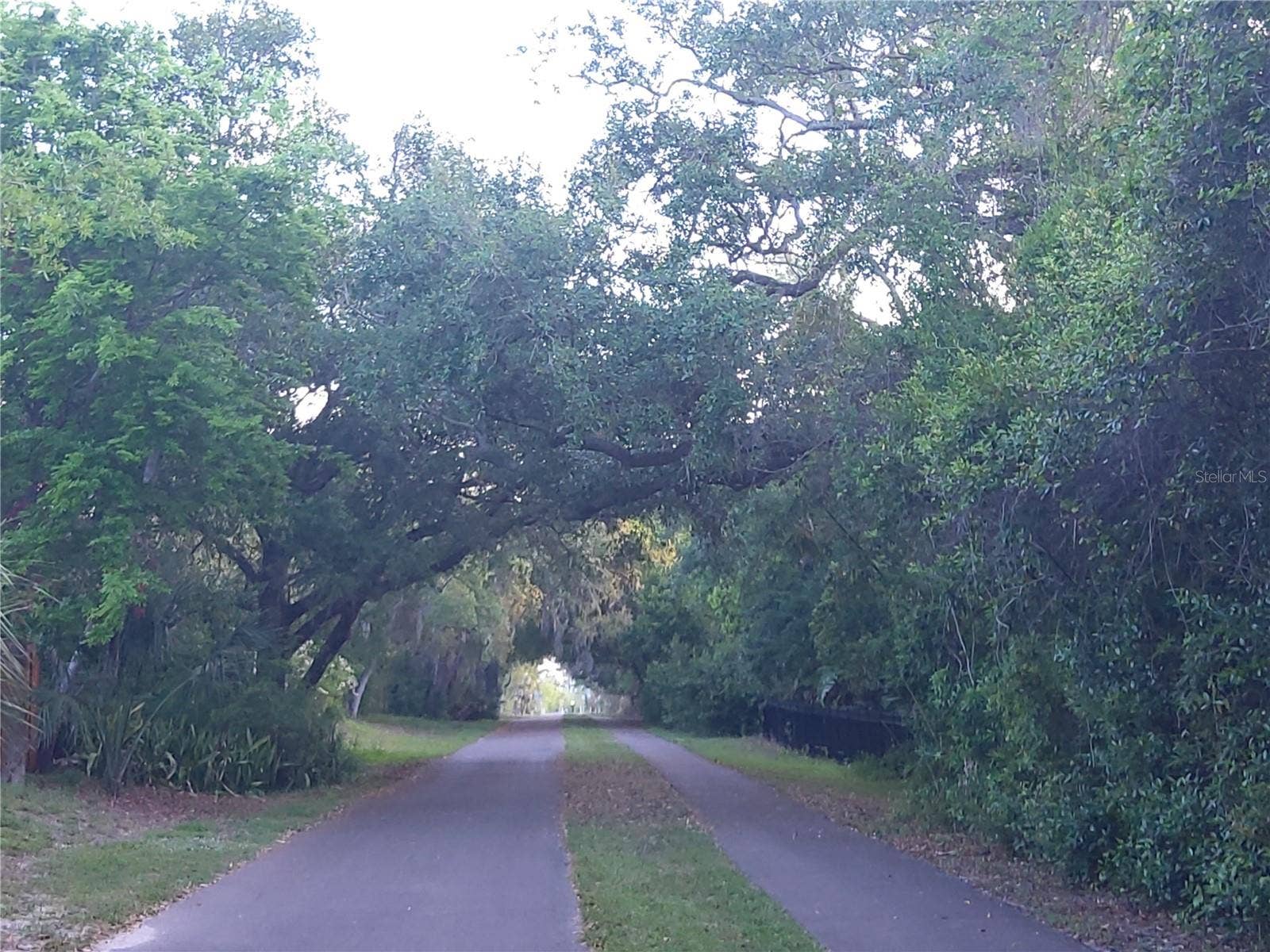 600 N MAYO STREET, Crystal Beach, FL 34681 600 N MAYO STREET, Crystal Beach, FL 34681