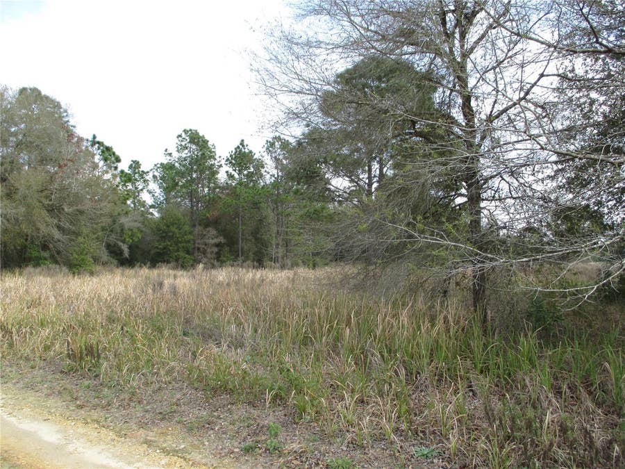 Property photo for SW 24TH PLACE, Ocala, FL